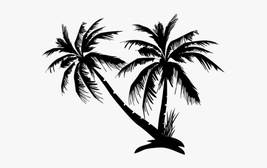 Detail Palm Tree Outline Png Nomer 33