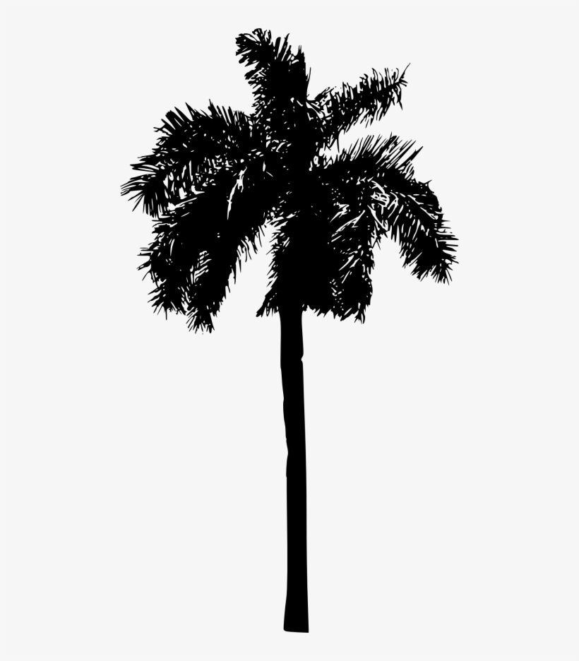 Detail Palm Tree Outline Png Nomer 35
