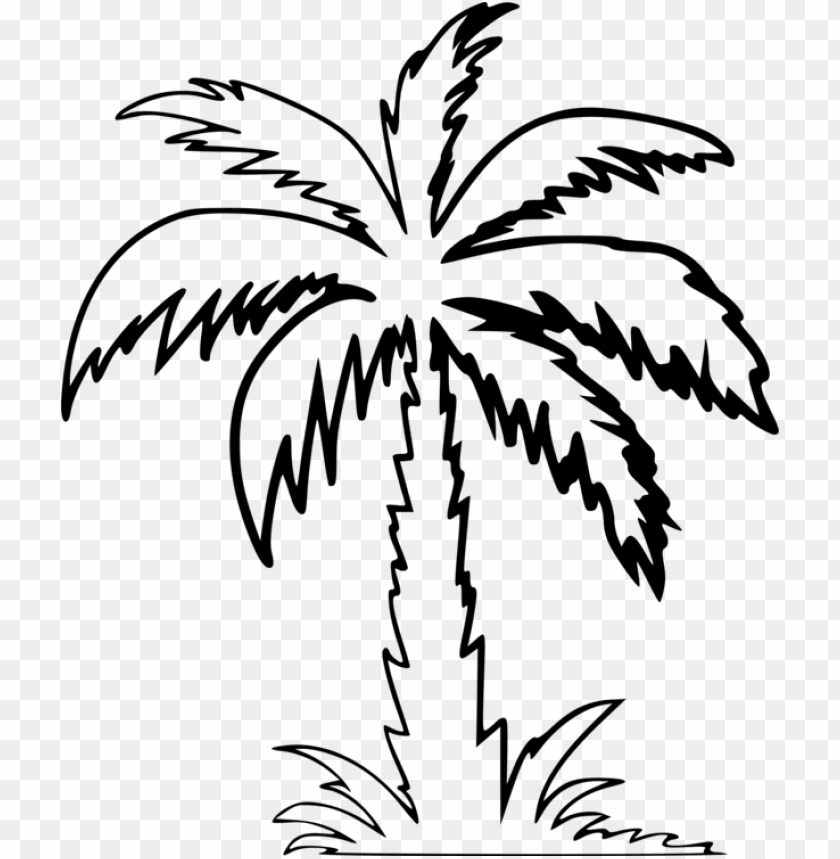 Detail Palm Tree Outline Png Nomer 36