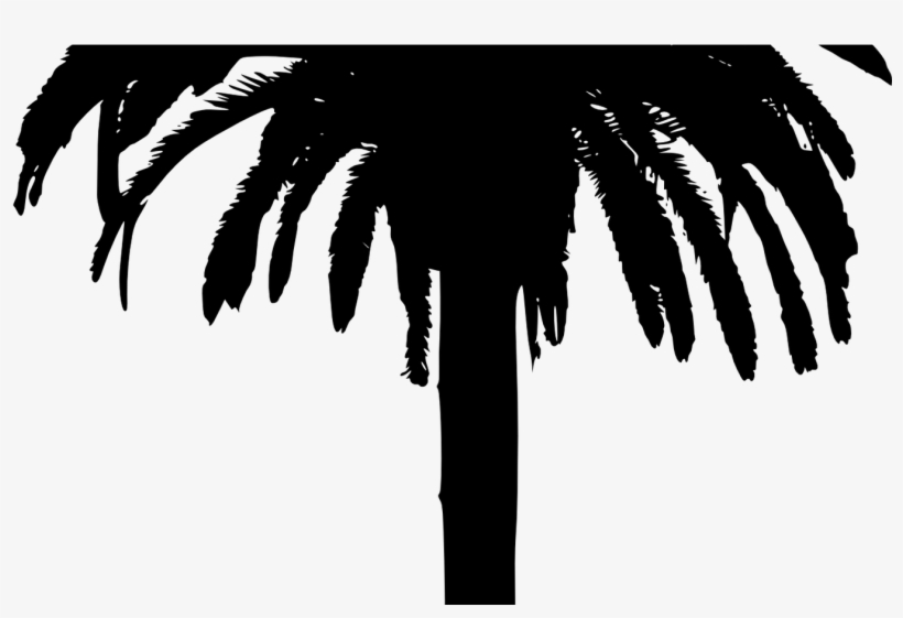 Detail Palm Tree Outline Png Nomer 37