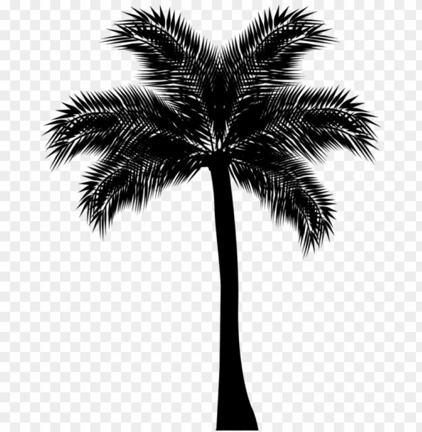 Detail Palm Tree Outline Png Nomer 38