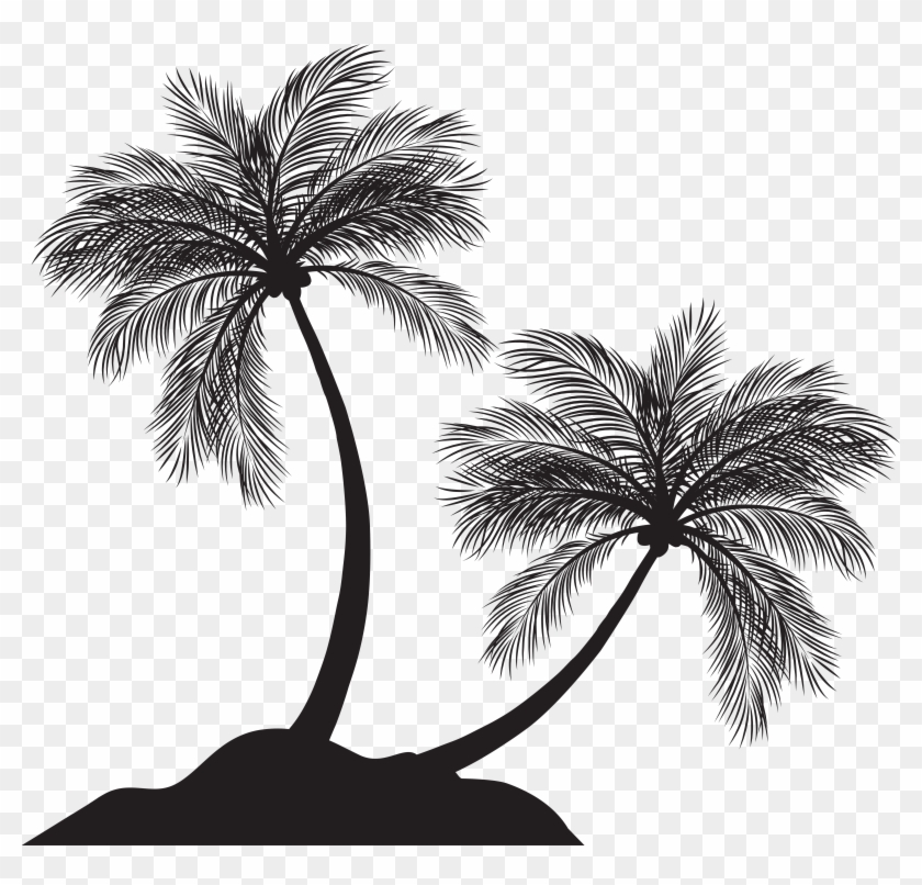 Detail Palm Tree Outline Png Nomer 42