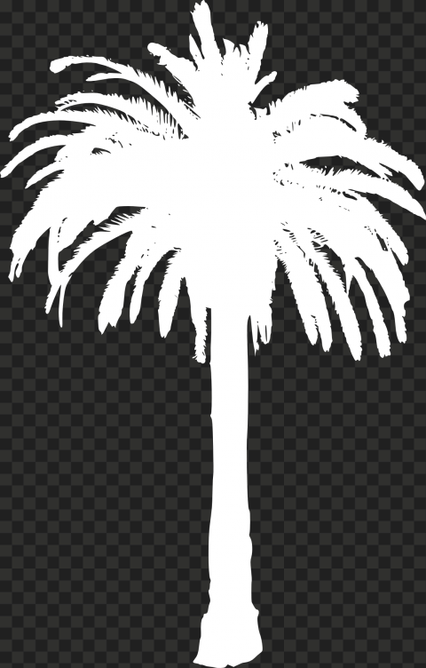 Detail Palm Tree Outline Png Nomer 43