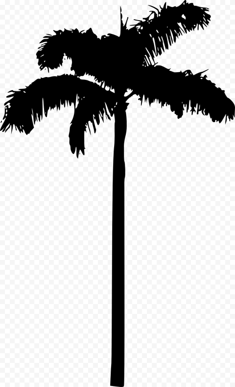 Detail Palm Tree Outline Png Nomer 44