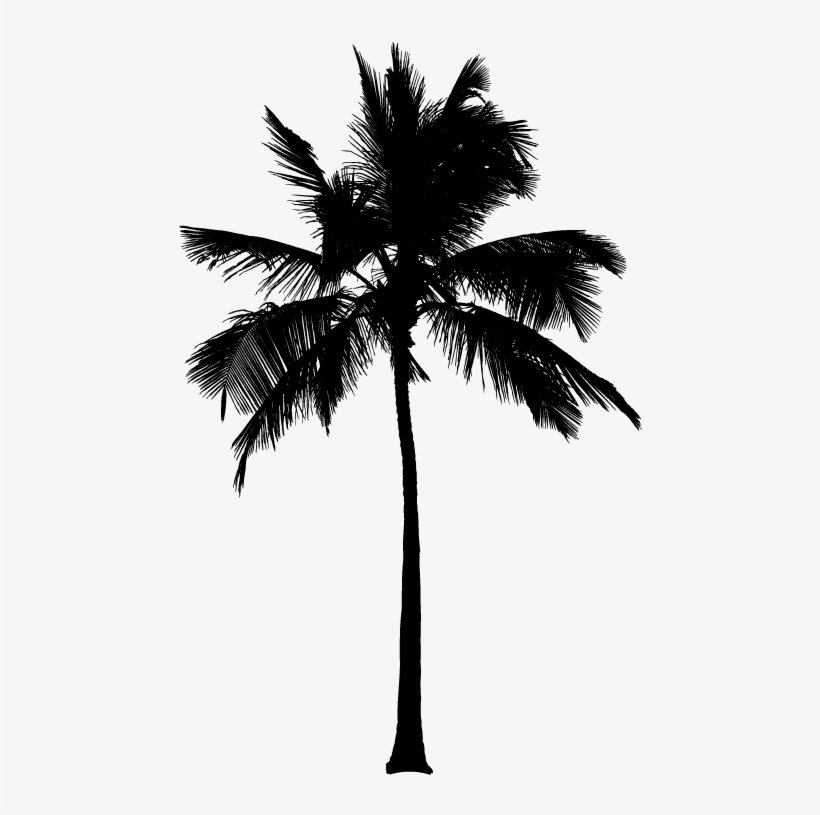 Detail Palm Tree Outline Png Nomer 45