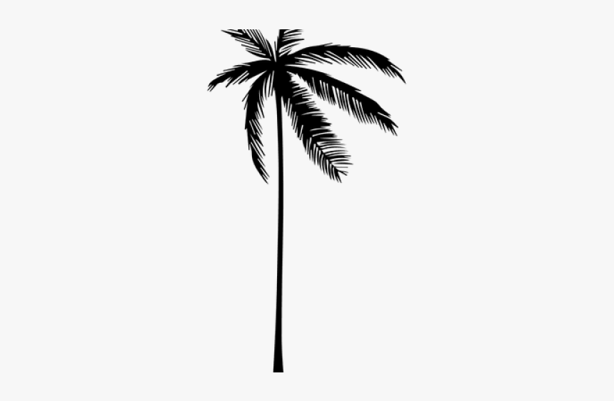 Detail Palm Tree Outline Png Nomer 47