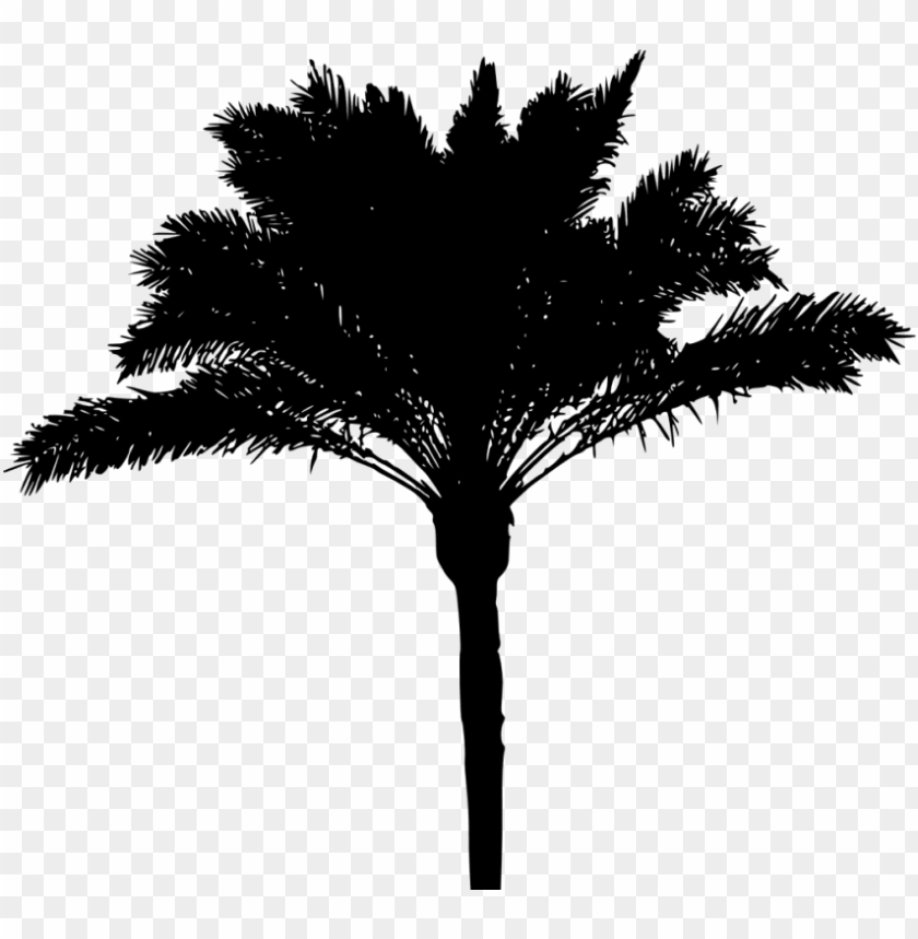 Detail Palm Tree Outline Png Nomer 53
