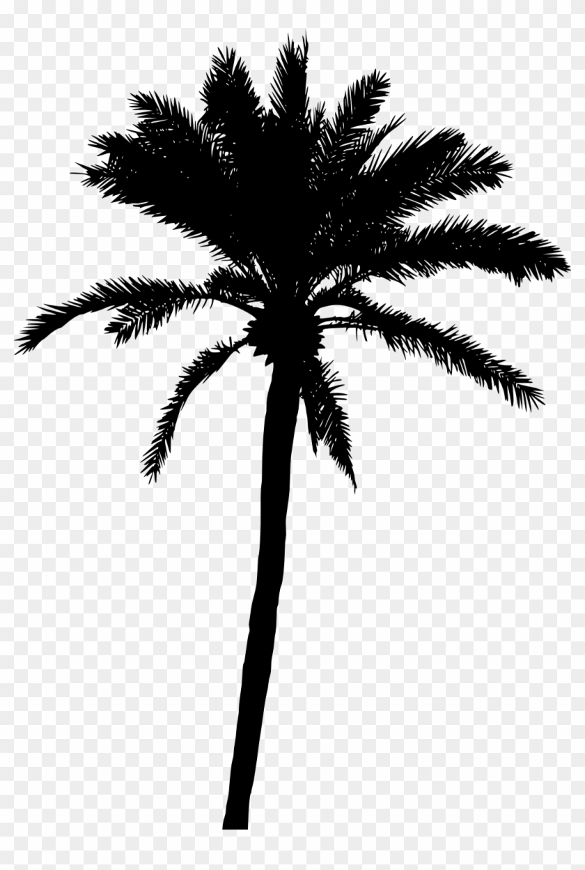 Detail Palm Tree Outline Png Nomer 54