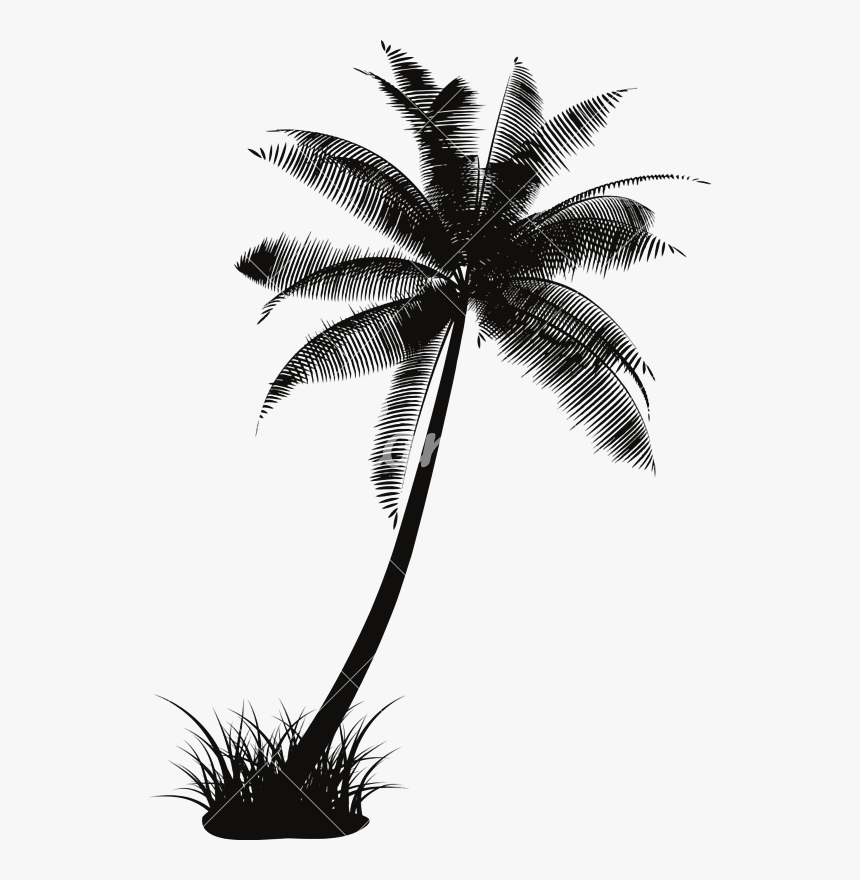 Detail Palm Tree Outline Png Nomer 55