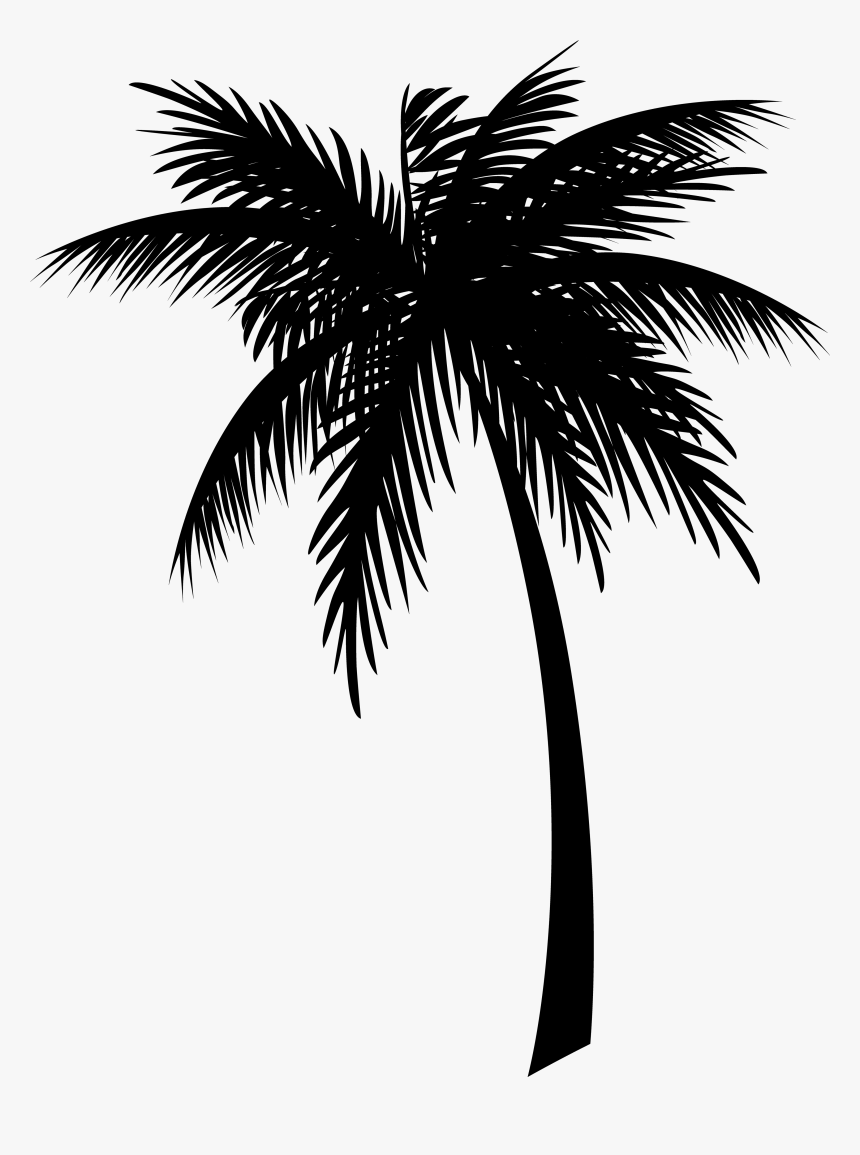 Detail Palm Tree Outline Png Nomer 9