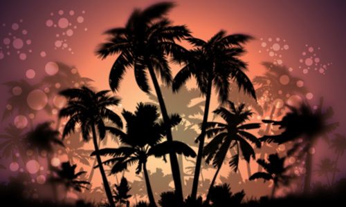 Detail Palm Tree Photoshop Brushes Nomer 29