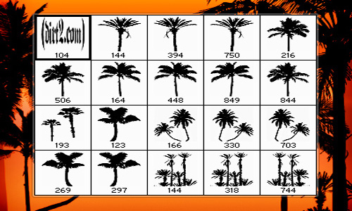 Detail Palm Tree Photoshop Brushes Nomer 8