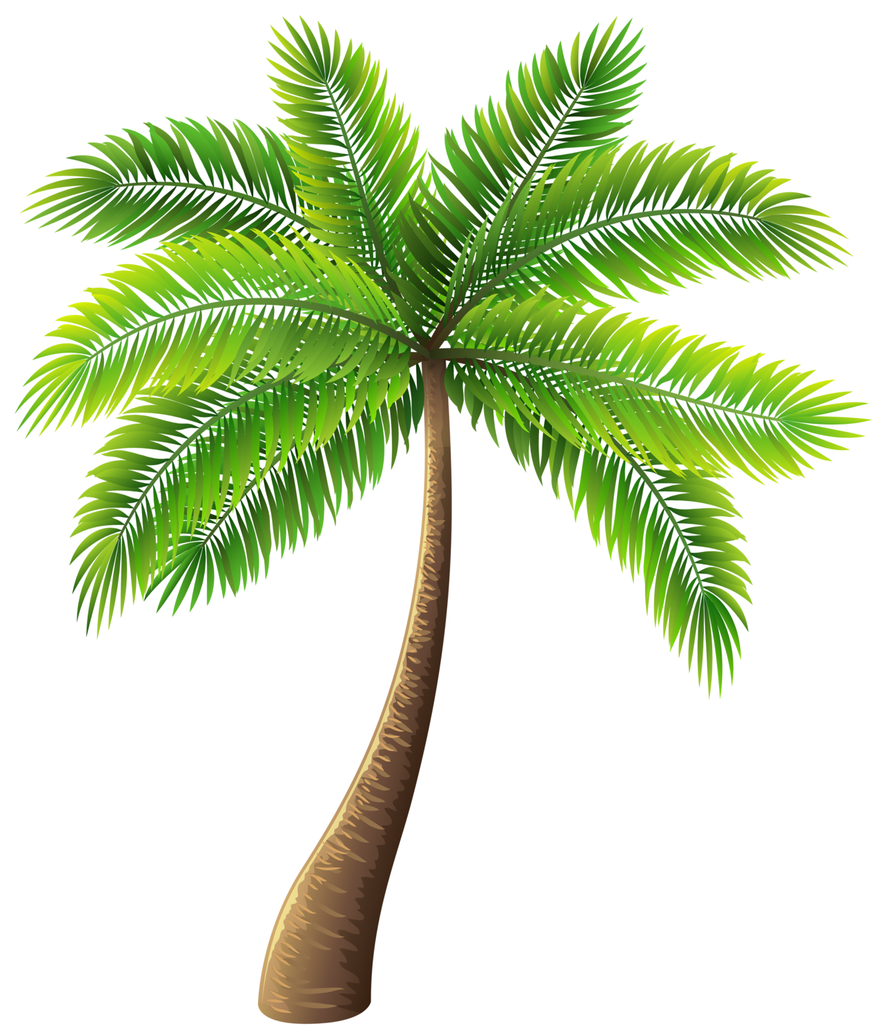 Detail Palm Tree Png Clipart Nomer 13