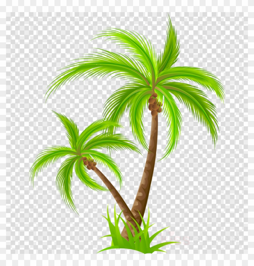 Detail Palm Tree Png Clipart Nomer 16