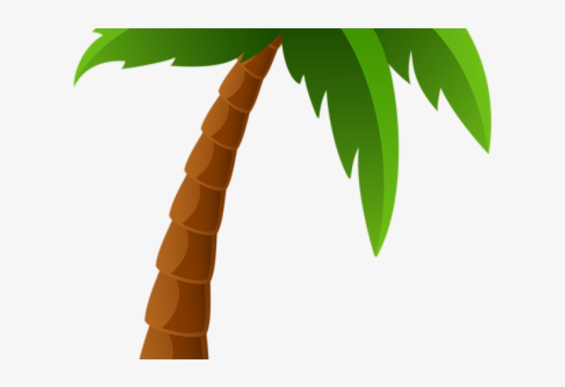 Detail Palm Tree Png Clipart Nomer 18