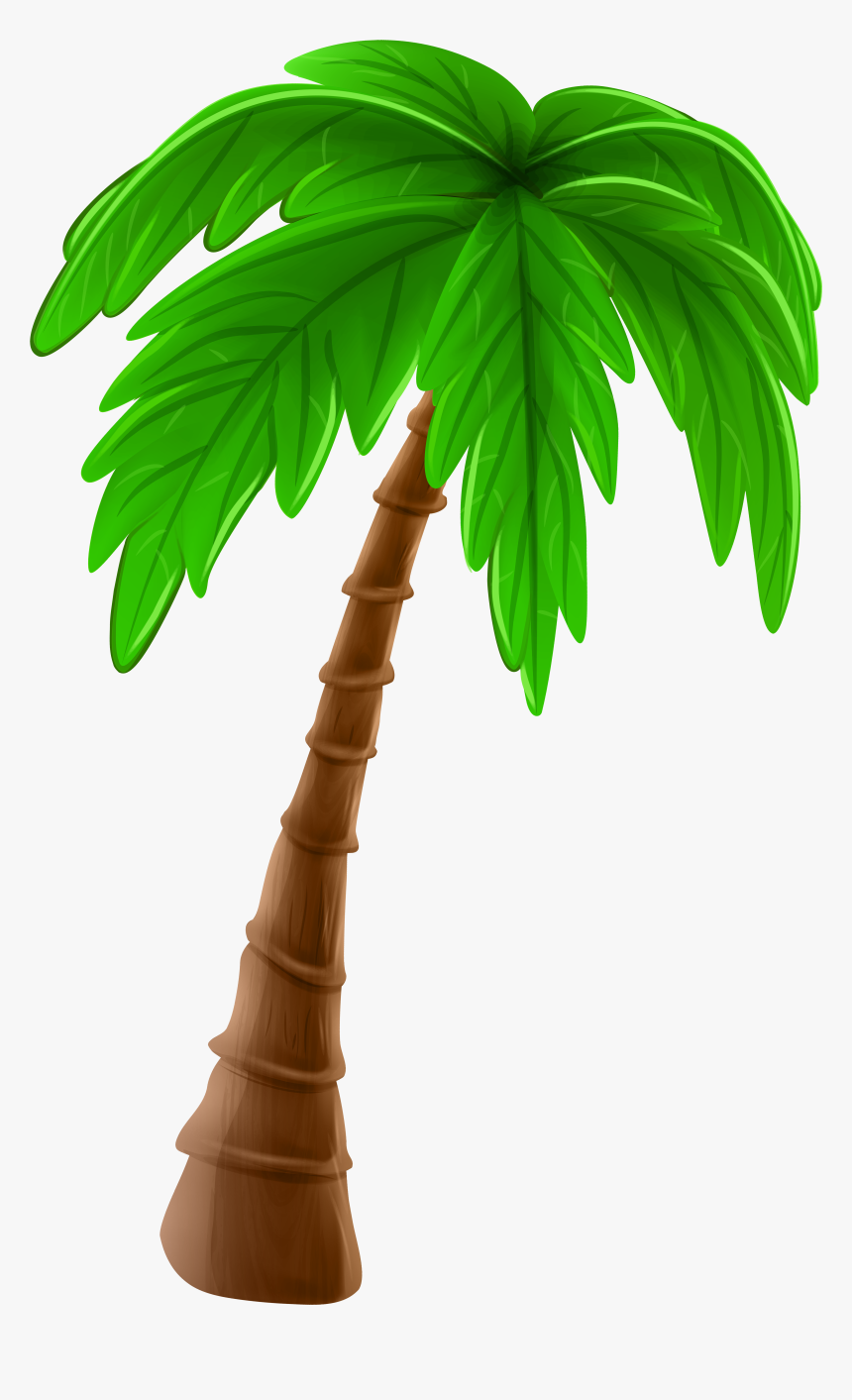 Detail Palm Tree Png Clipart Nomer 24