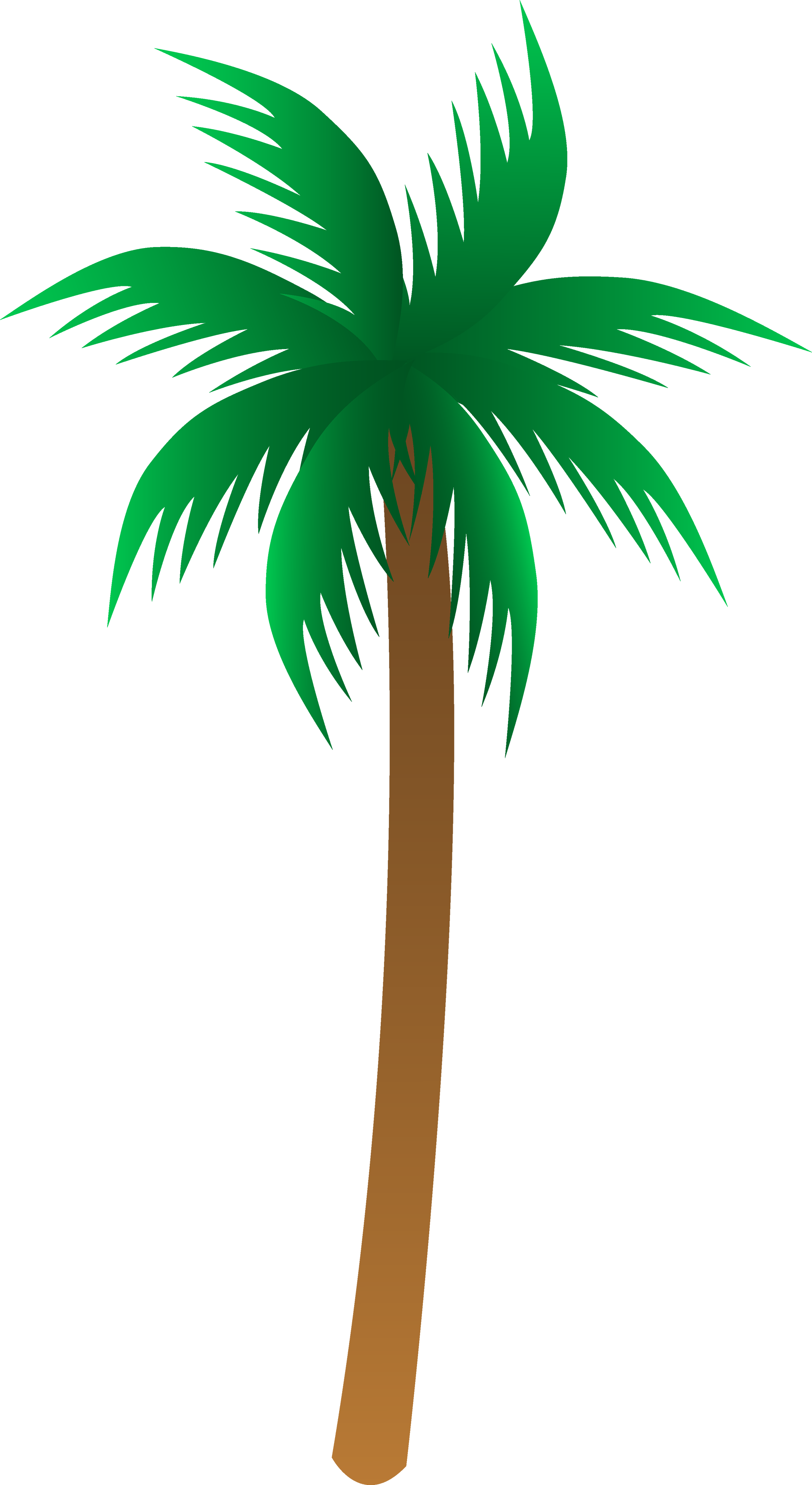 Detail Palm Tree Png Clipart Nomer 25