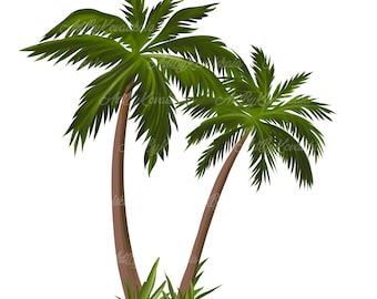 Detail Palm Tree Png Clipart Nomer 41