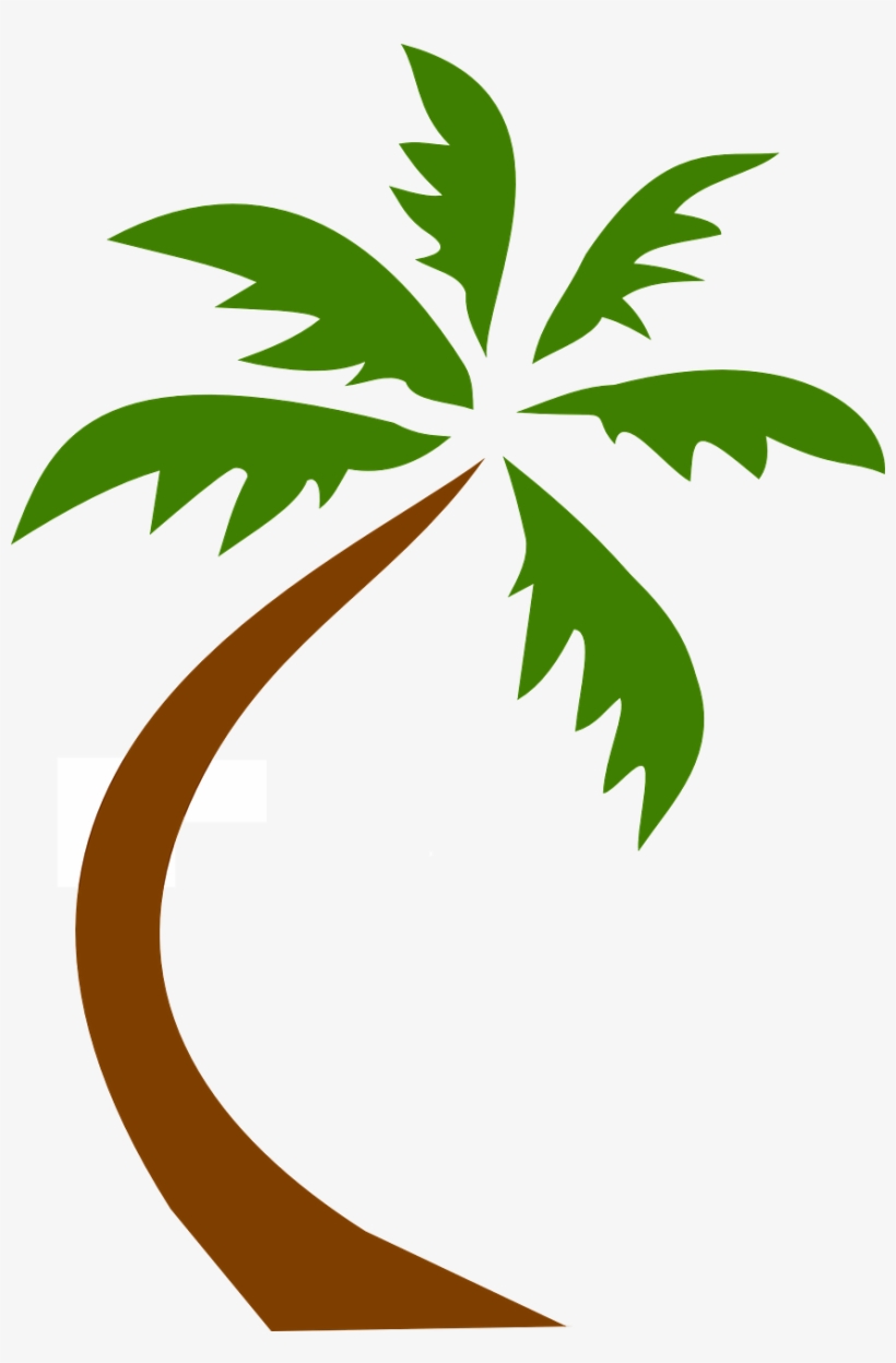 Detail Palm Tree Png Clipart Nomer 49