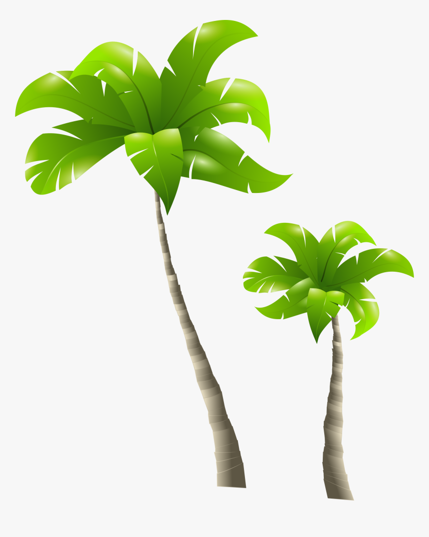 Detail Palm Tree Png Clipart Nomer 51