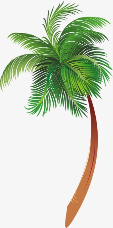 Detail Palm Tree Png Clipart Nomer 56