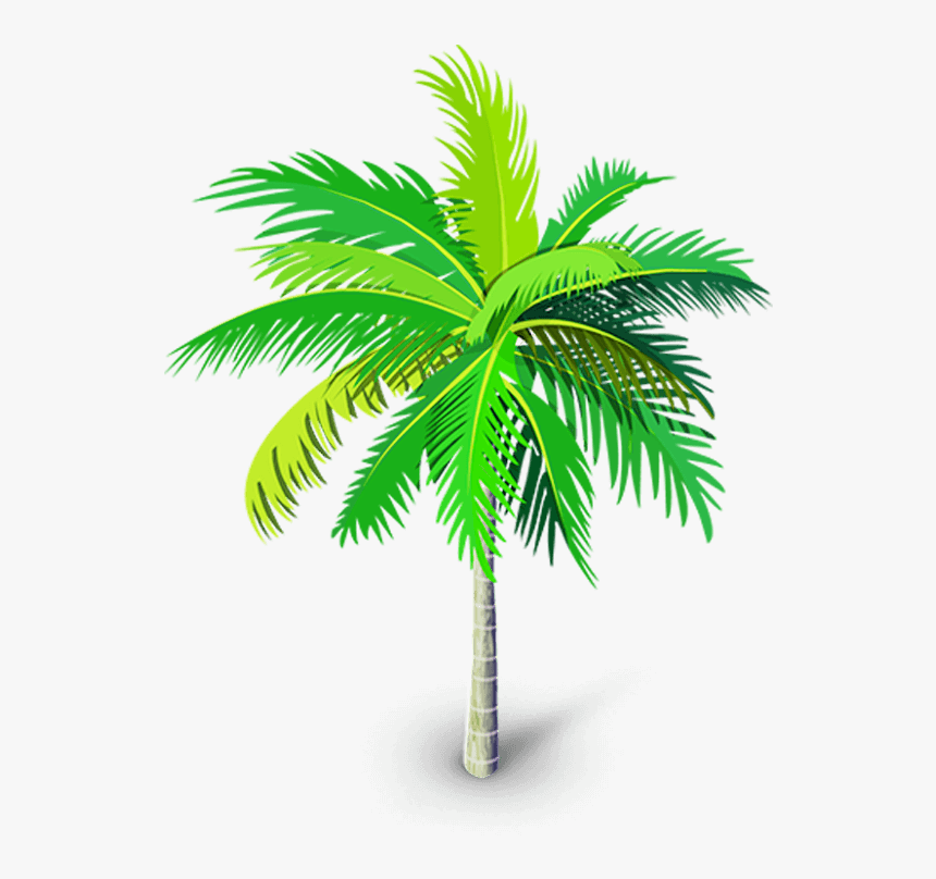 Detail Palm Tree Png Clipart Nomer 57