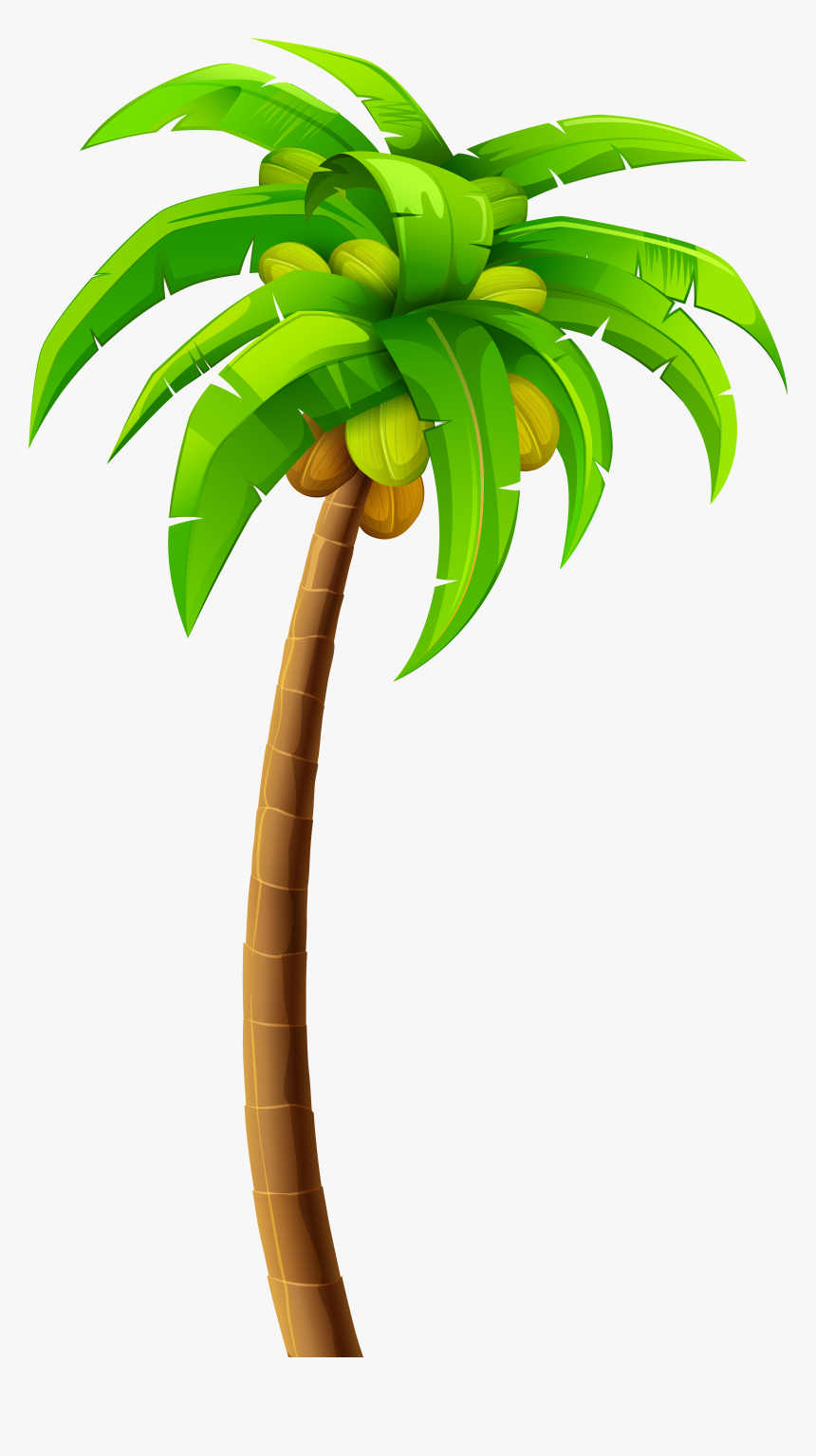 Detail Palm Tree Png Clipart Nomer 8