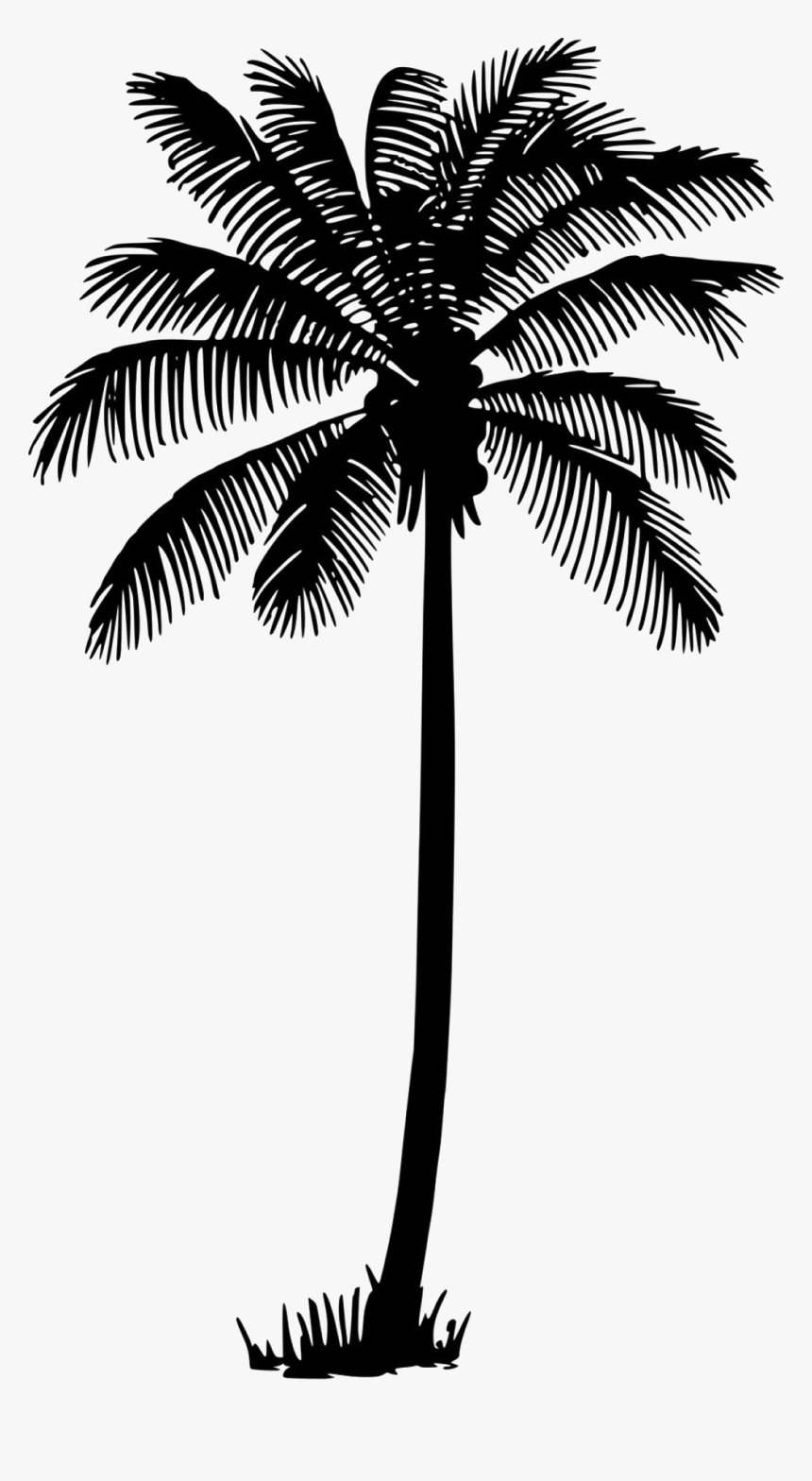 Palm Tree Png Vector - KibrisPDR