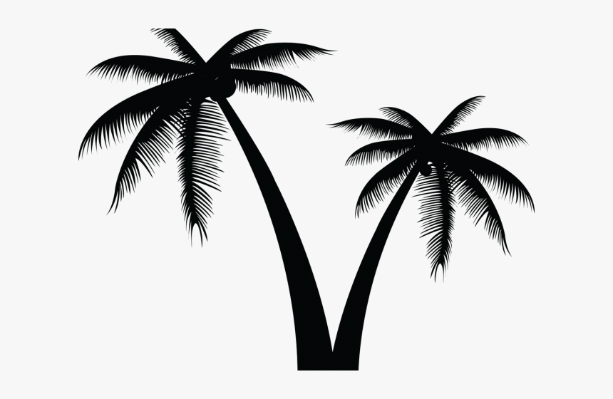 Detail Palm Tree Png Vector Nomer 2