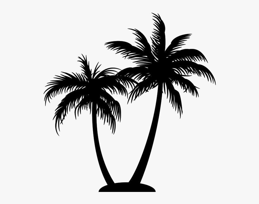 Detail Palm Tree Png Vector Nomer 13