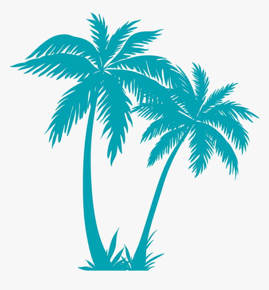 Detail Palm Tree Png Vector Nomer 15