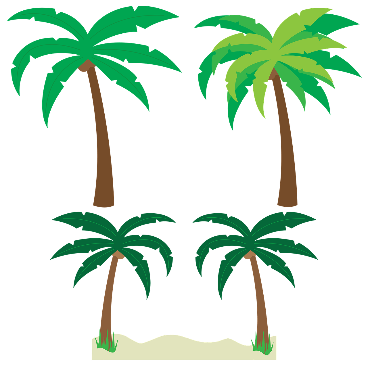 Detail Palm Tree Png Vector Nomer 20