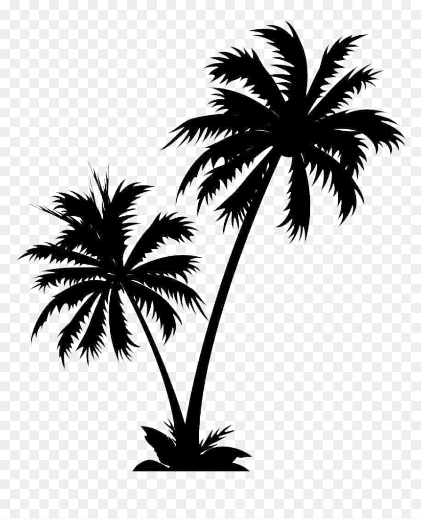 Detail Palm Tree Png Vector Nomer 3