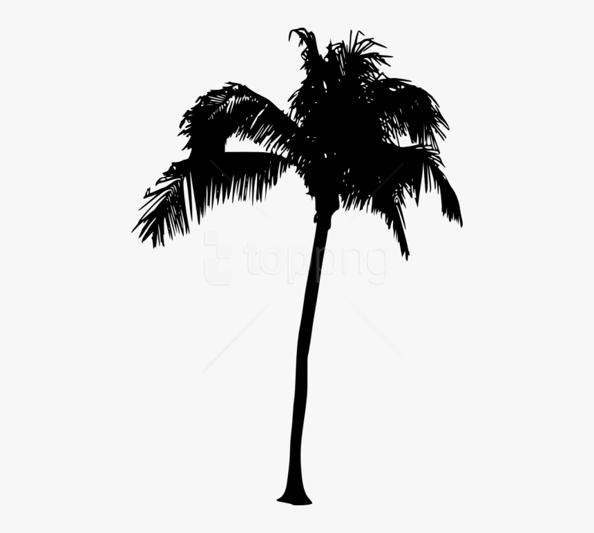 Detail Palm Tree Png Vector Nomer 21