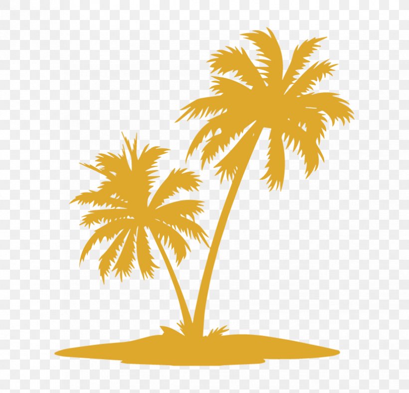 Detail Palm Tree Png Vector Nomer 26