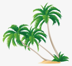 Detail Palm Tree Png Vector Nomer 31