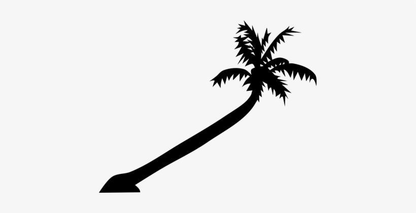 Detail Palm Tree Png Vector Nomer 33