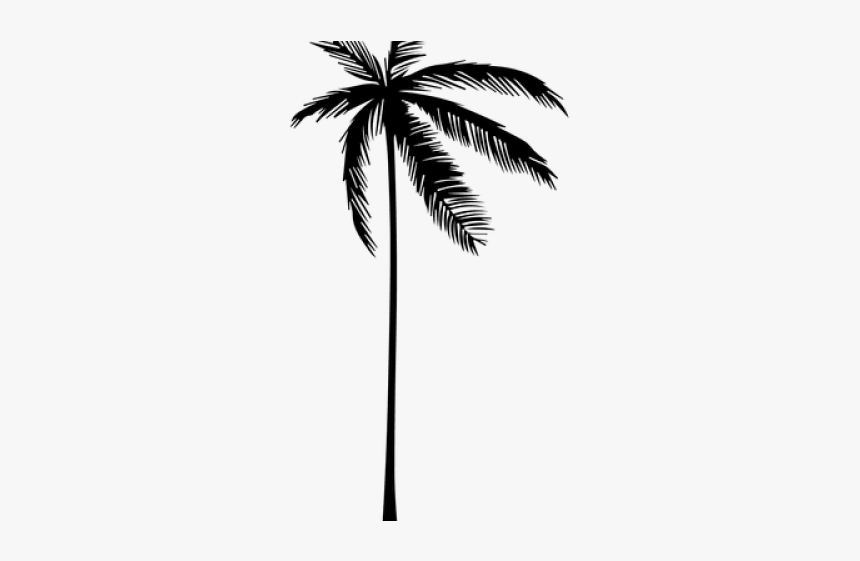 Detail Palm Tree Png Vector Nomer 38