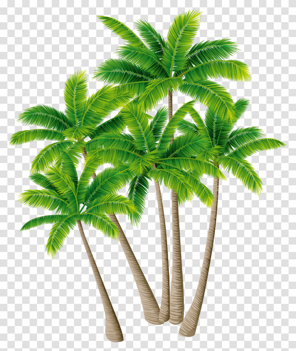 Detail Palm Tree Png Vector Nomer 44