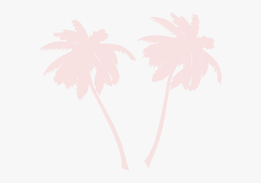 Detail Palm Tree Png Vector Nomer 45