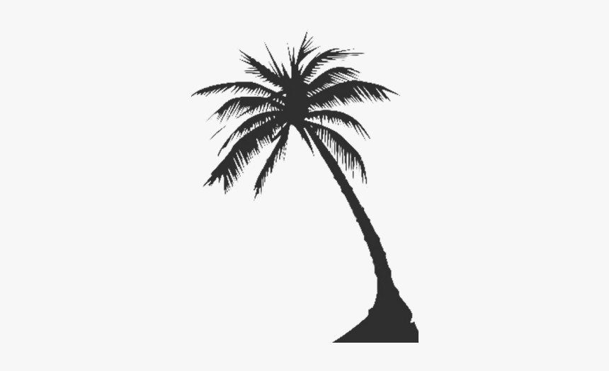 Detail Palm Tree Png Vector Nomer 6