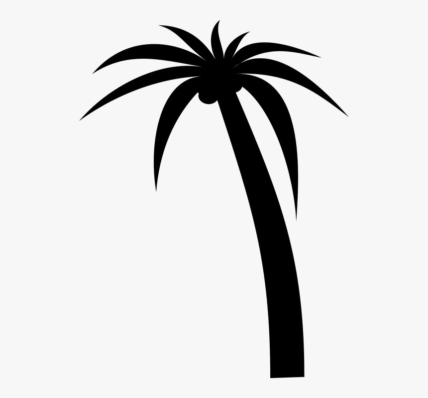 Detail Palm Tree Png Vector Nomer 47