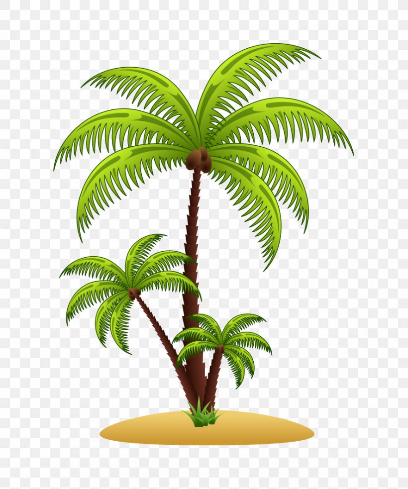 Detail Palm Tree Png Vector Nomer 48