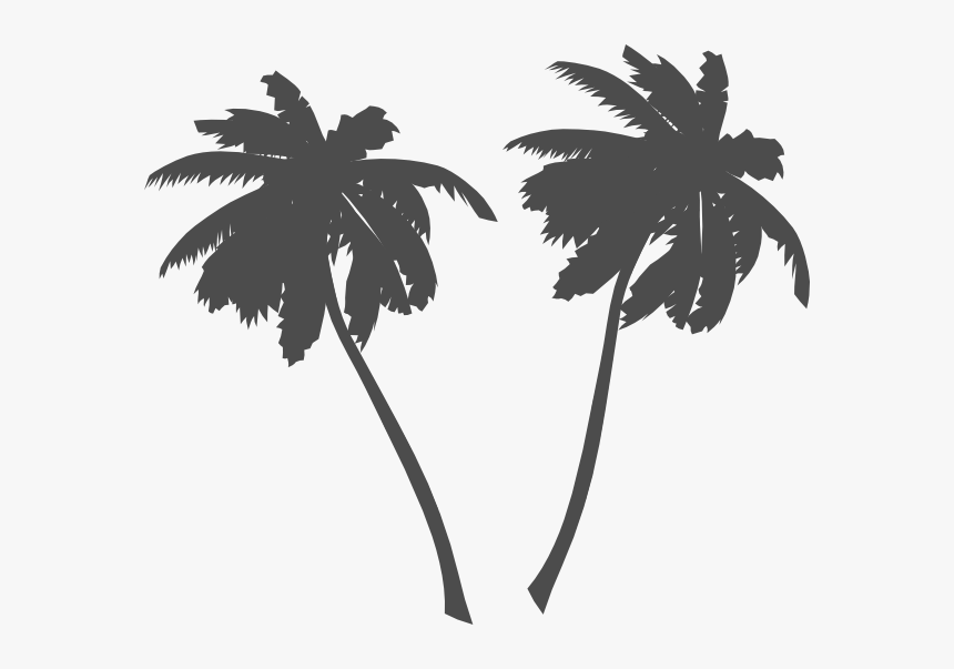 Detail Palm Tree Png Vector Nomer 49