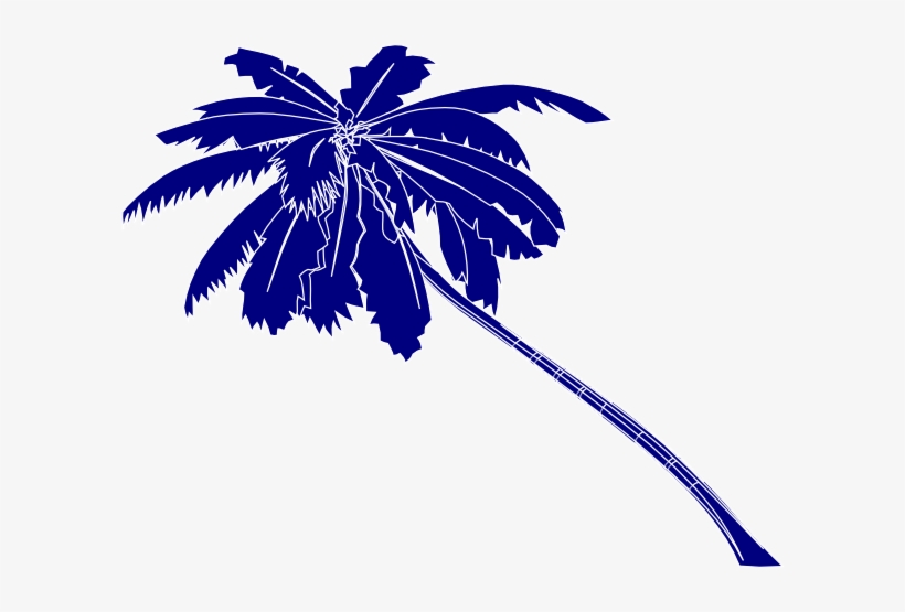 Detail Palm Tree Png Vector Nomer 55