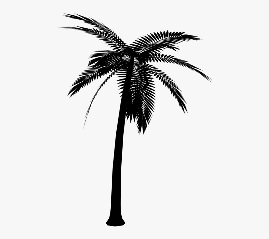 Detail Palm Tree Png Vector Nomer 7