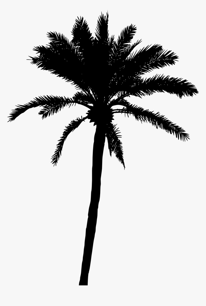 Detail Palm Tree Png Vector Nomer 9