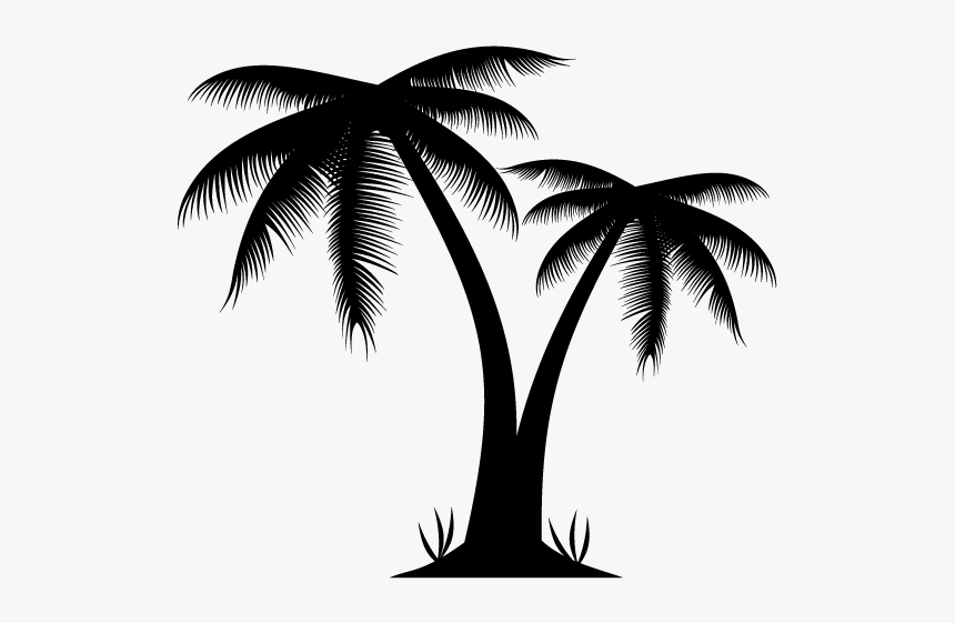 Detail Palm Tree Png Vector Nomer 10