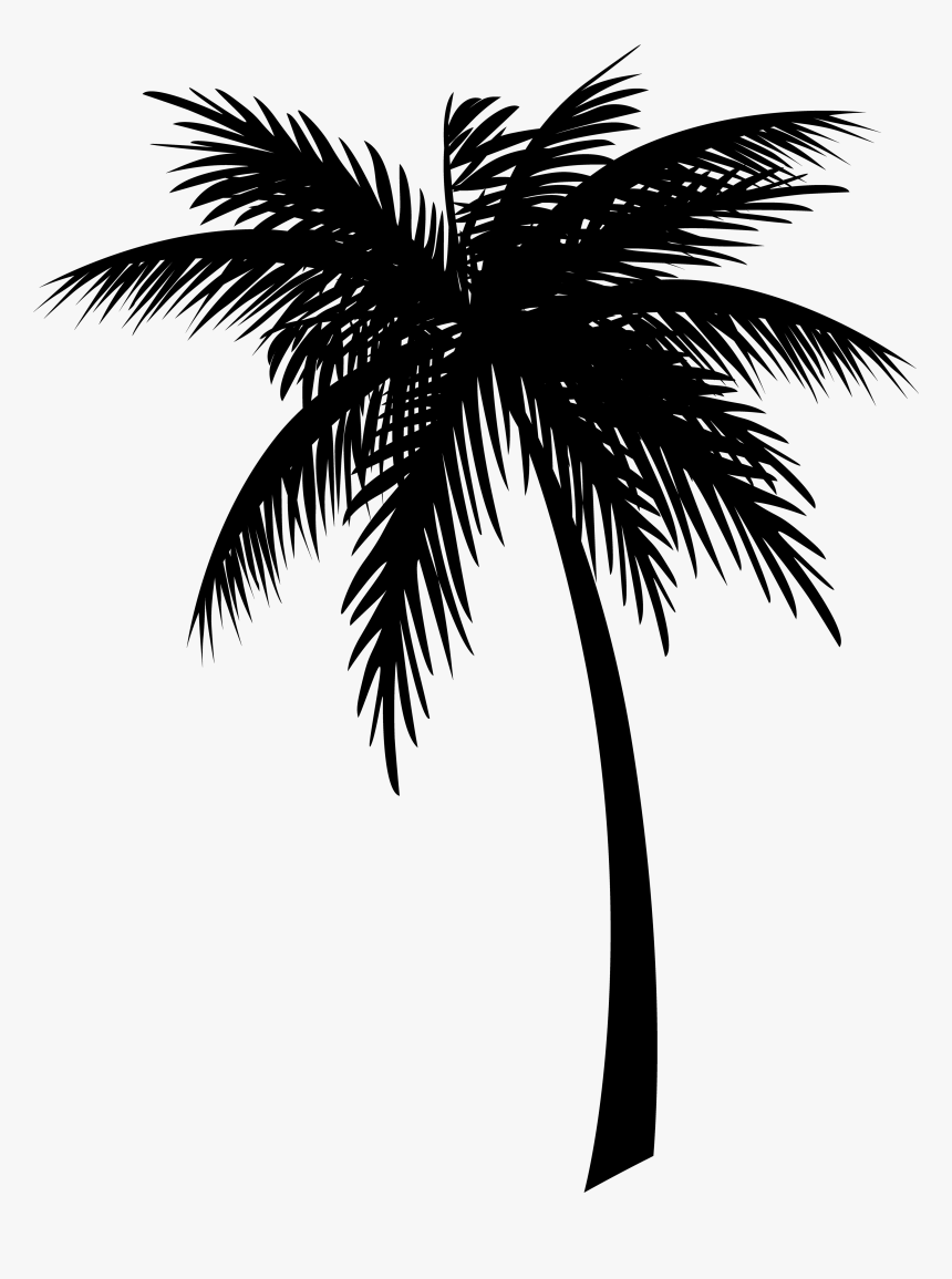 Detail Palm Tree Silhouette Clip Art Nomer 18