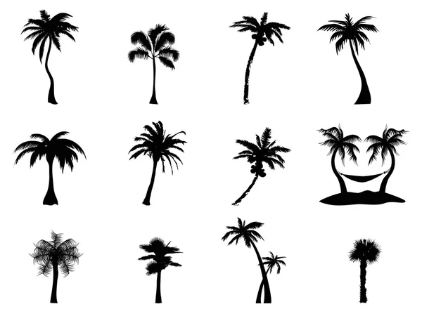 Detail Palm Tree Silhouette Clip Art Nomer 21
